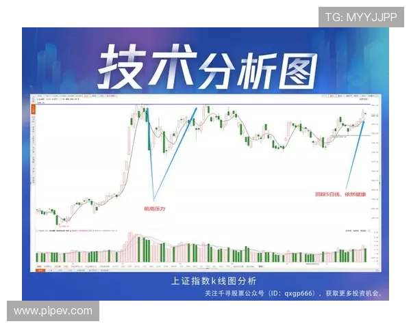 南京篮球队与上海篮球队赛后技术分析与战术复盘探讨