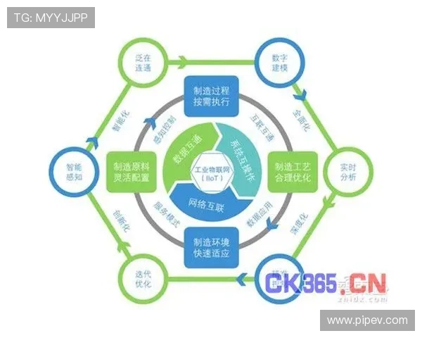探索西安羽毛球队的转型之路与深度发展策略分析
