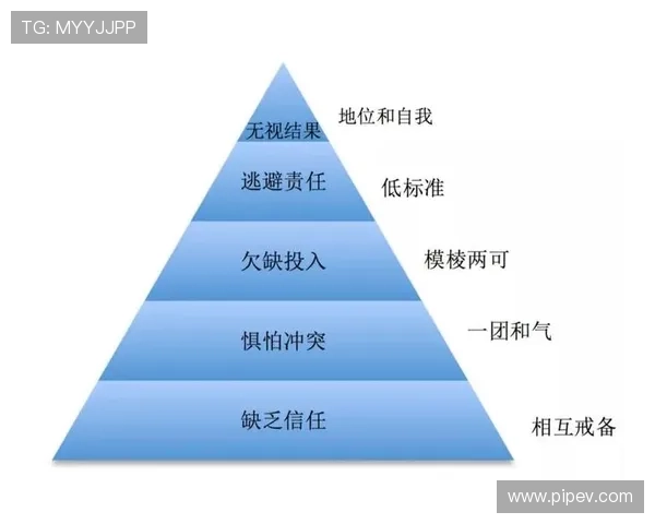 杭州篮球队进攻体系解析：战术创新与团队协作的完美结合